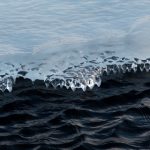 汤姆私人影院官网:享受极致观影体验的私人影院选择 1bg7m6