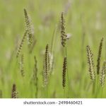 漫画屋:探索奇幻世界的漫画天堂与创作乐园 1tecvr2m3