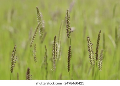 漫画屋：探索奇幻世界的漫画天堂与创作乐园