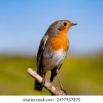 漫画网站黄页:全面汇总热门漫画平台与资源分享指南 2kizrr0