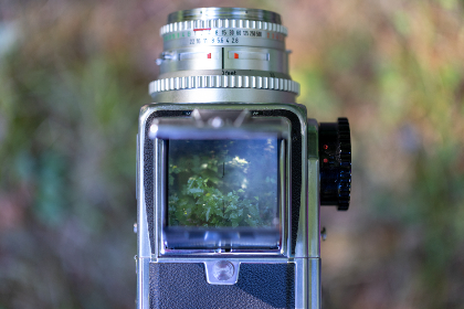 松鼠症仓库备用：如何有效管理和利用仓库资源提升效率