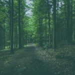 漫画排名榜:2023年最受欢迎的漫画作品推荐与分析 5yzbbr