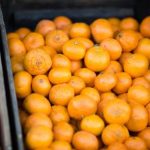 沈娜娜 爱豆传媒:探索新一代偶像的成长与发展之路 610ww7p5y