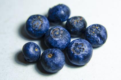 樱花动漫官网首页：探索最新动漫资讯与精彩内容