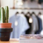 桥本香菜和香菜公主是一个人么:揭开两者身份背后的秘密与真相 8k32w