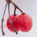 樱花动漫官网:您专属的动漫爱好者门户网站 9fjrsni9