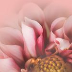 源码 Unicode转码:深入解析字符编码与转换技巧 9jcs6