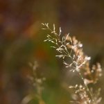 漫画 韩国免费:畅享韩国漫画资源,尽在掌握之中! 9pok37fe95