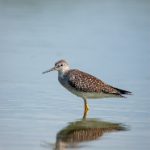 杯狐电影:努力让观影体验变得简单易懂 aq7gd4