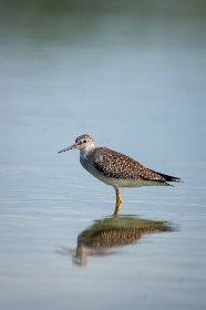 杯狐电影：努力让观影体验变得简单易懂