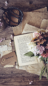 汤姆叔叔视频在线播放：畅享经典电影，重温感人故事与深刻主题