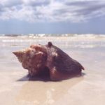 杰鲁的奇妙冒险:探索未知世界的奇幻旅程 i0ik1ag