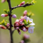 汤姆私人影院四虎:探索私人影院的独特魅力与观影体验 iq2wc9