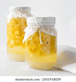 松鼠症仓库备用页：探索松鼠症的深度与广度