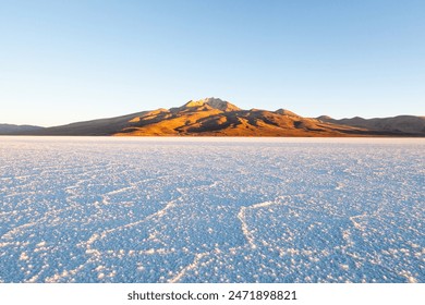 极速漫画：探索快速阅读与创作的全新体验