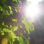 极速漫画:畅享快速阅读的全新体验 owqx55p