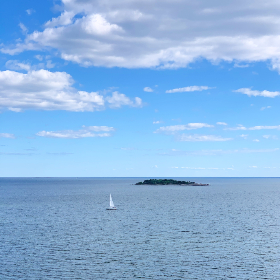 松鼠症仓库 备用页：探索松鼠症的症状与治疗方法详解