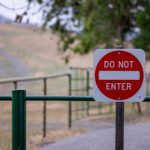 杨视频直播:探索新媒体时代的直播魅力与互动体验 rjcoo28k