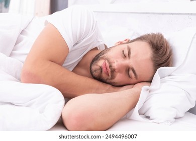 樱花动漫官网：探索春日浪漫与精彩动画世界