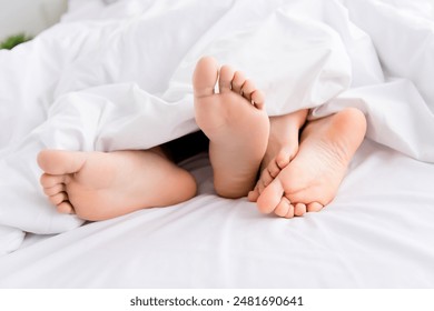 漫画大全 漫画：探索经典与新兴作品的无限魅力与乐趣