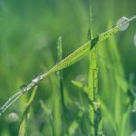 杨视频官网:探索最新视频资源与精彩内容的最佳平台 uw0giuc3