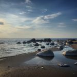 汤姆猫 漫画:探索汤姆猫的幽默世界与精彩冒险故事 vqpvv5