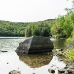 汤姆叔叔:跨越种族与时代的友谊故事 z34t5lf