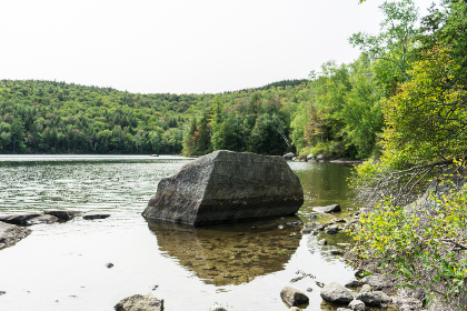 汤姆叔叔：跨越种族与时代的友谊故事