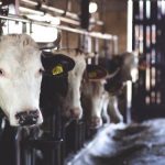 畅享韩国漫画网站无删减在线观看的最佳选择 b9a1vi6e7