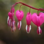 畅享青柠免费阅读小说下载,尽情探索精彩故事世界 r9x1s7