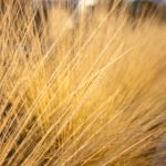 畅享追剧乐趣:不需要会员的追剧软件推荐 sjrf7l