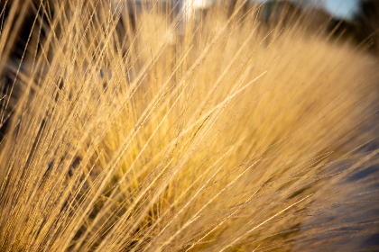 畅享追剧乐趣：不需要会员的追剧软件推荐